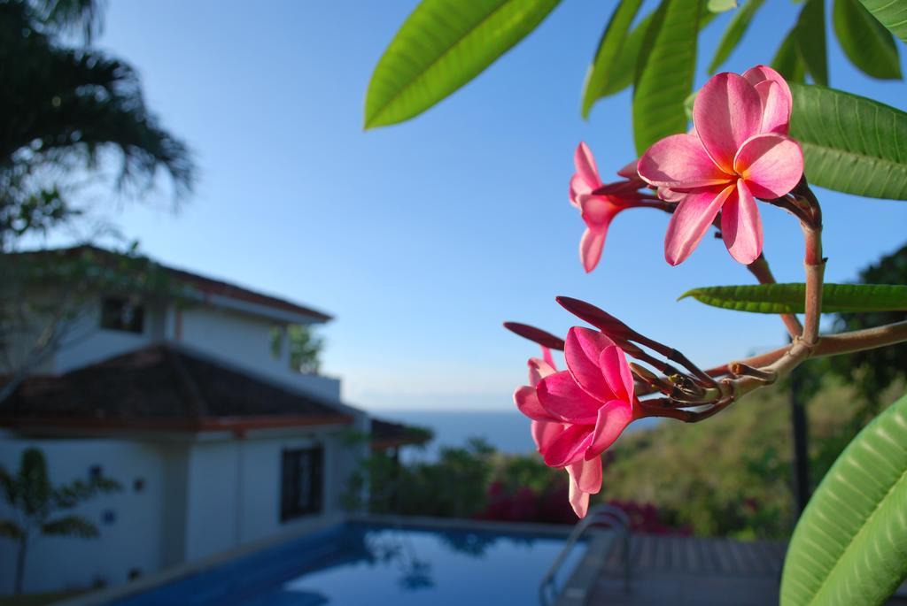 Casa Frangipani 호텔 몬테주마 외부 사진